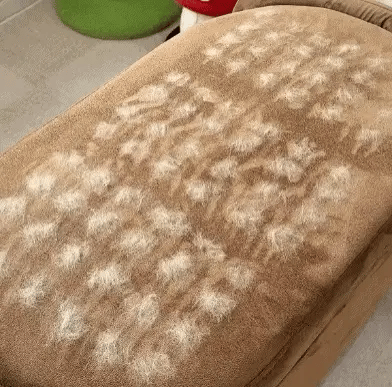 The Pet Fur Removal Magic Brush