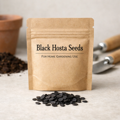 Black Hosta Seeds – Ornamental Plant Seeds for Gardening