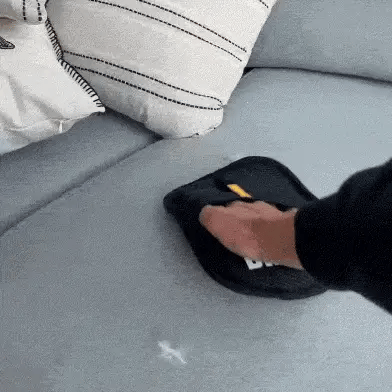The Pet Fur Removal Magic Brush